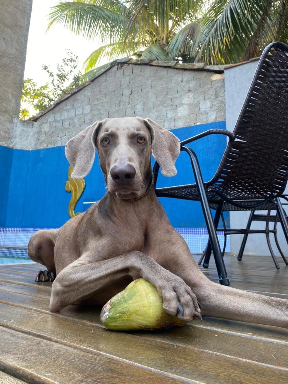Casa Jaguar Buzios Suites A 3 Minutos Da Praia Geriba Zewnętrze zdjęcie